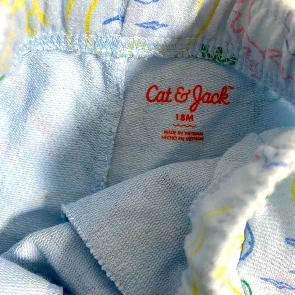 Girls Tee and Shorts Size 18M Tee is Carter’s Shorts are Cat & Jack Sky Blue